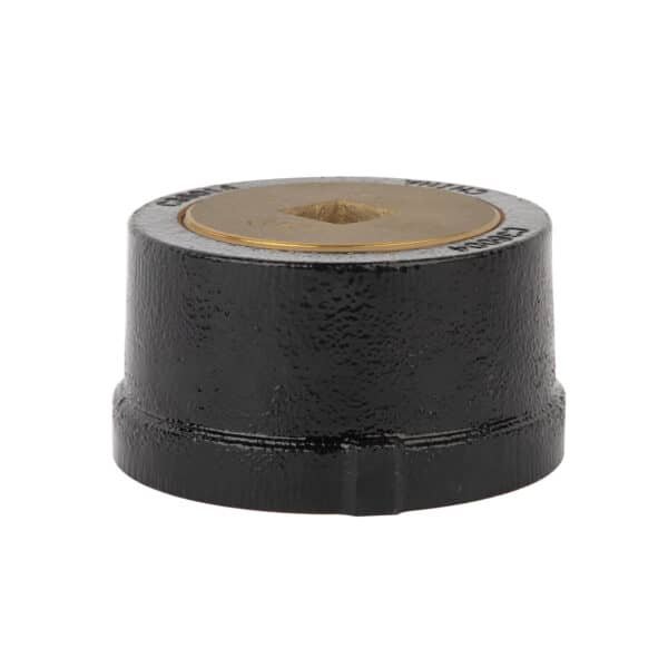 Cleanout with Brass Plug