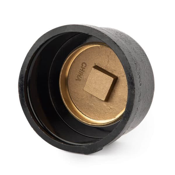 Cleanout with Brass Plug - Image 2