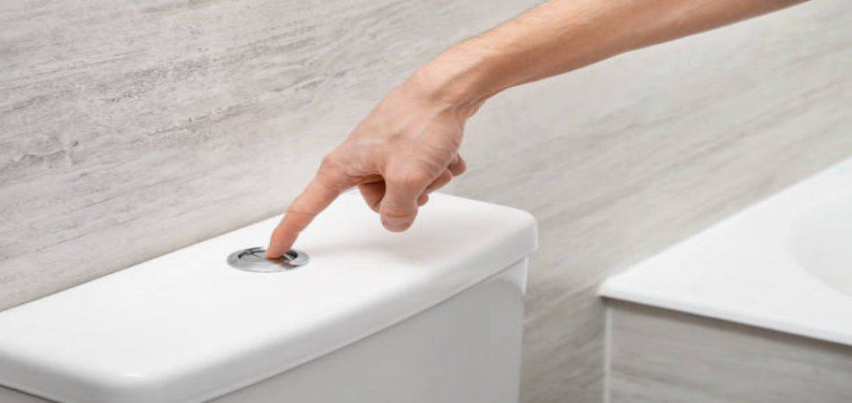 flush toilet water trap